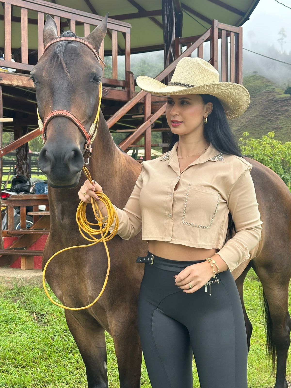 Camisa Miel